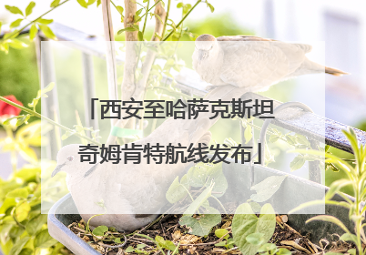 西安至哈萨克斯坦奇姆肯特航线发布
