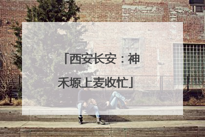 西安长安：神禾塬上麦收忙