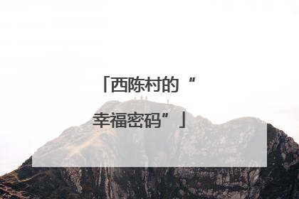 西陈村的“幸福密码”