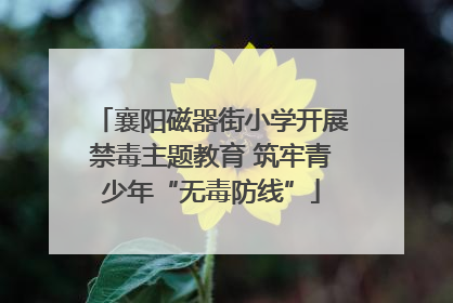 襄阳磁器街小学开展禁毒主题教育 筑牢青少年“无毒防线”