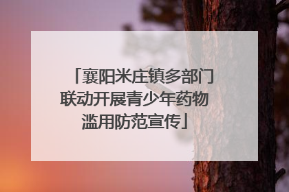 襄阳米庄镇多部门联动开展青少年药物滥用防范宣传