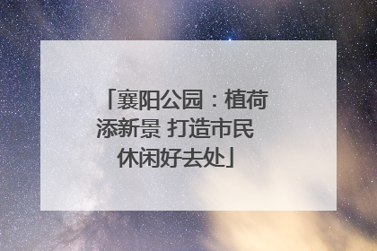 襄阳公园：植荷添新景 打造市民休闲好去处