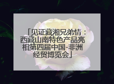 见证藏湘兄弟情：西藏山南特色产品亮相第四届中国-非洲经贸博览会