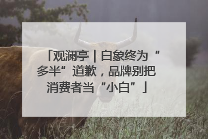 观澜亭｜白象终为“多半”道歉，品牌别把消费者当“小白”