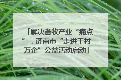 解决畜牧产业“痛点”，济南市“走进千村万企”公益活动启动