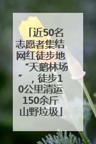 近50名志愿者集结网红徒步地“天鹅林场”，徒步10公里清运150余斤山野垃圾