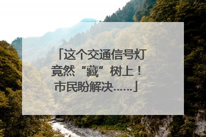 这个交通信号灯竟然“藏”树上！市民盼解决……