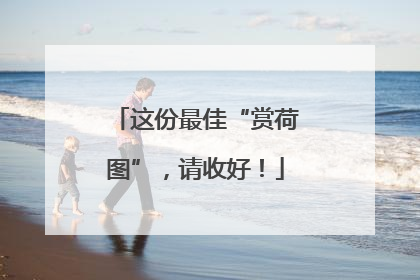 这份最佳“赏荷图”，请收好！