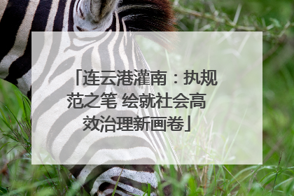 连云港灌南：执规范之笔 绘就社会高效治理新画卷