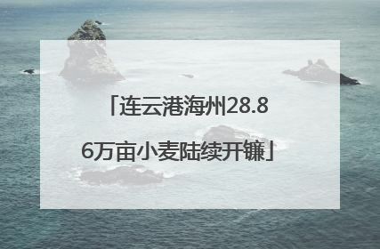连云港海州28.86万亩小麦陆续开镰