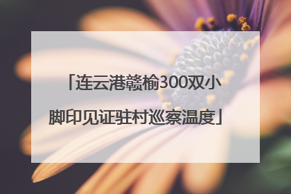 连云港赣榆300双小脚印见证驻村巡察温度