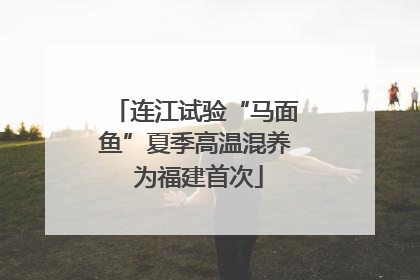 连江试验“马面鱼”夏季高温混养 为福建首次