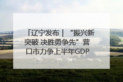 辽宁发布｜“振兴新突破 决胜勇争先”营口市力争上半年GDP增长6%左右