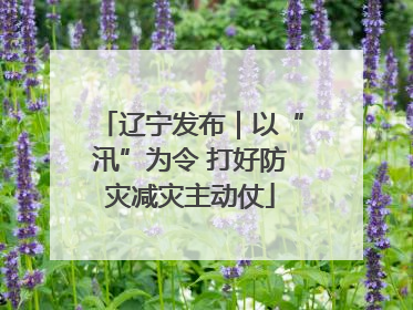 辽宁发布｜以“汛”为令 打好防灾减灾主动仗