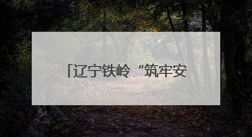 辽宁铁岭“筑牢安全防线，青年勇当先锋”安全生产进校园主题团日活动举行