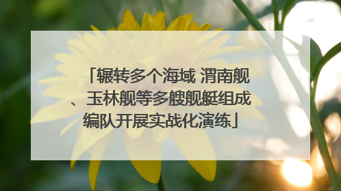 辗转多个海域 渭南舰、玉林舰等多艘舰艇组成编队开展实战化演练