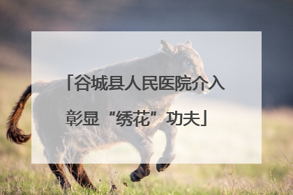 谷城县人民医院介入彰显“绣花”功夫