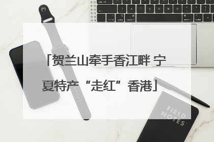 贺兰山牵手香江畔 宁夏特产“走红”香港