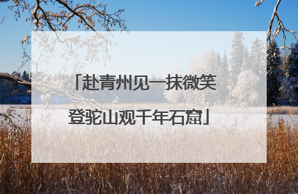 赴青州见一抹微笑 登驼山观千年石窟