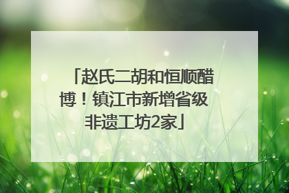 赵氏二胡和恒顺醋博！镇江市新增省级非遗工坊2家