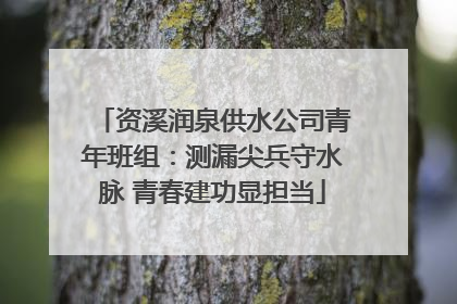 资溪润泉供水公司青年班组：测漏尖兵守水脉 青春建功显担当