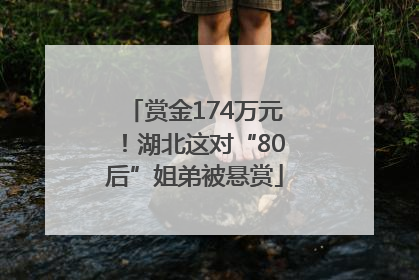 赏金174万元！湖北这对“80后”姐弟被悬赏