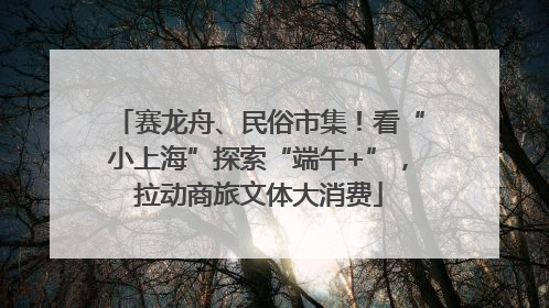 赛龙舟、民俗市集！看“小上海”探索“端午+”，拉动商旅文体大消费
