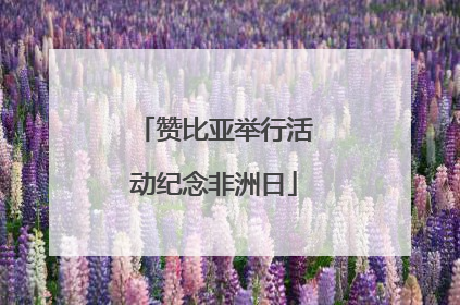 赞比亚举行活动纪念非洲日
