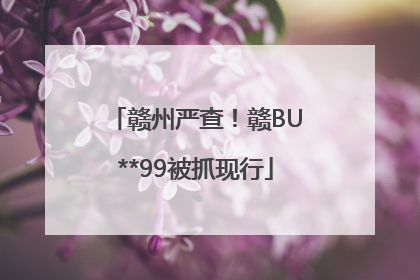 赣州严查！赣BU**99被抓现行