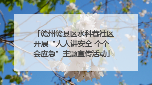 赣州赣县区水科巷社区开展“人人讲安全 个个会应急”主题宣传活动