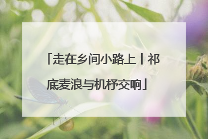 走在乡间小路上丨祁底麦浪与机杼交响