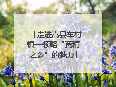走进嵩县车村镇—领略“黄精之乡”的魅力