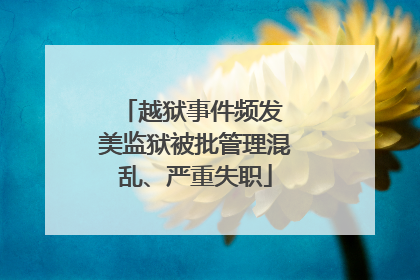越狱事件频发 美监狱被批管理混乱、严重失职