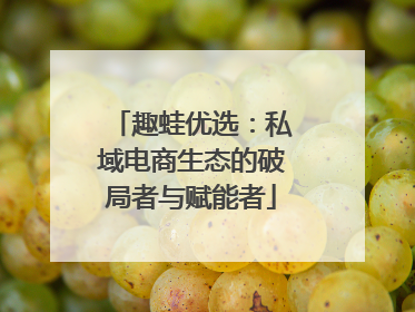 趣蛙优选：私域电商生态的破局者与赋能者