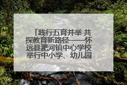 践行五育并举 共探教育新路径——怀远县淝河镇中心学校举行中小学、幼儿园班主任论坛活动