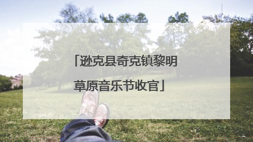 逊克县奇克镇黎明草原音乐节收官