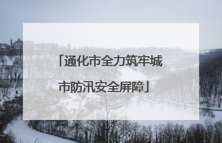 通化市全力筑牢城市防汛安全屏障