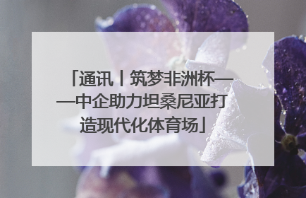 通讯丨筑梦非洲杯——中企助力坦桑尼亚打造现代化体育场