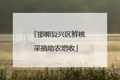 邯郸复兴区鲜桃采摘助农增收