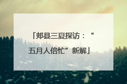 郏县三夏探访：“五月人倍忙”新解