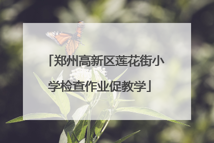 郑州高新区莲花街小学检查作业促教学