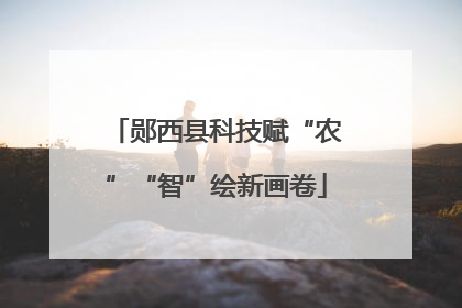 郧西县科技赋“农”“智”绘新画卷