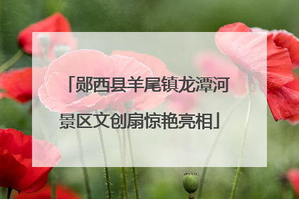 郧西县羊尾镇龙潭河景区文创扇惊艳亮相