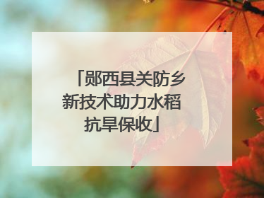 郧西县关防乡新技术助力水稻抗旱保收