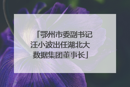 鄂州市委副书记汪小波出任湖北大数据集团董事长