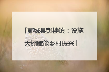 鄄城县彭楼镇：设施大棚赋能乡村振兴