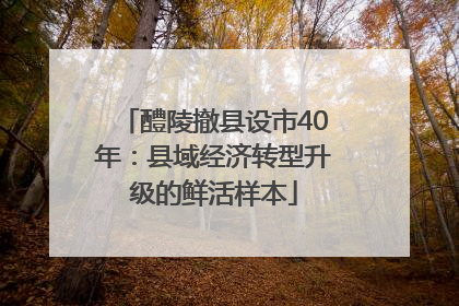 醴陵撤县设市40年：县域经济转型升级的鲜活样本