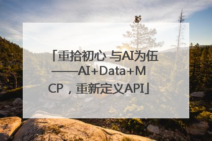 重拾初心 与AI为伍——AI+Data+MCP，重新定义API