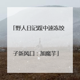 野人日记踩中速冻饺子新风口：加魔芋