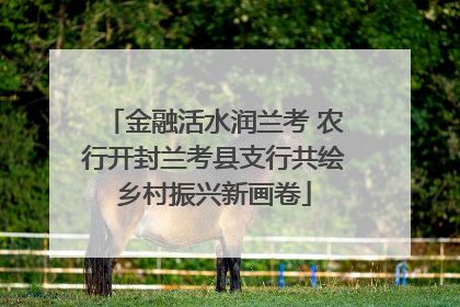 金融活水润兰考 农行开封兰考县支行共绘乡村振兴新画卷